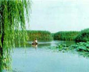 滨城明天天气