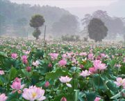 广昌今天天气